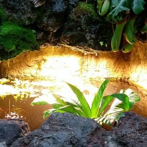 Meet your Posher, Be you